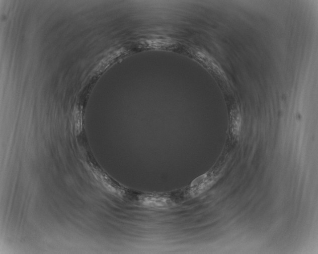 X0000086240471200703291400