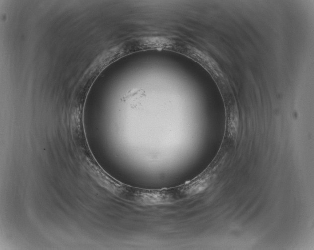 X0000086240473200703291400
