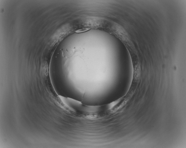 X0000086240474200703291400