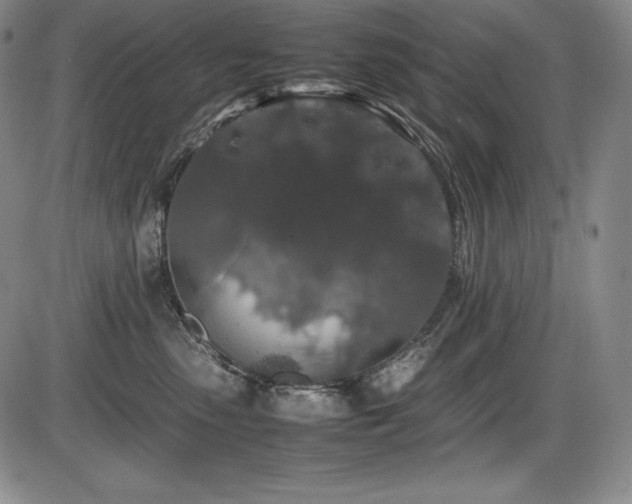 X0000086240475200703291400