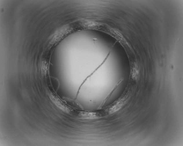 X0000086240476200703291400