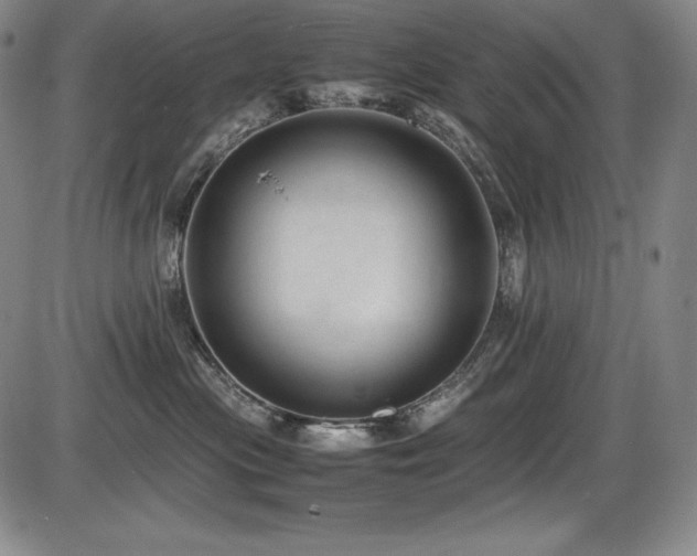 X0000086240477200703291400
