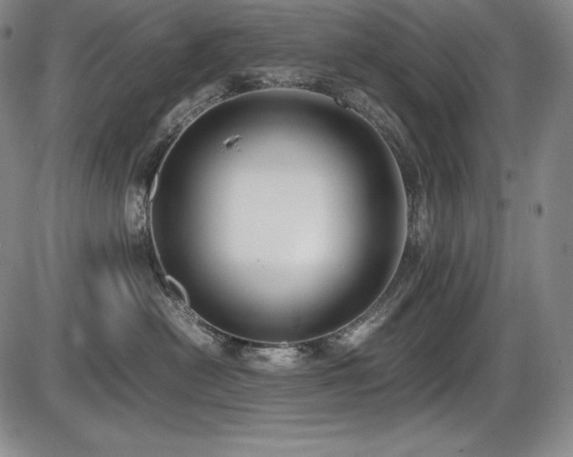 X0000086240478200703291400