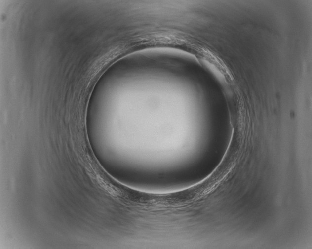 X0000086240481200703291359