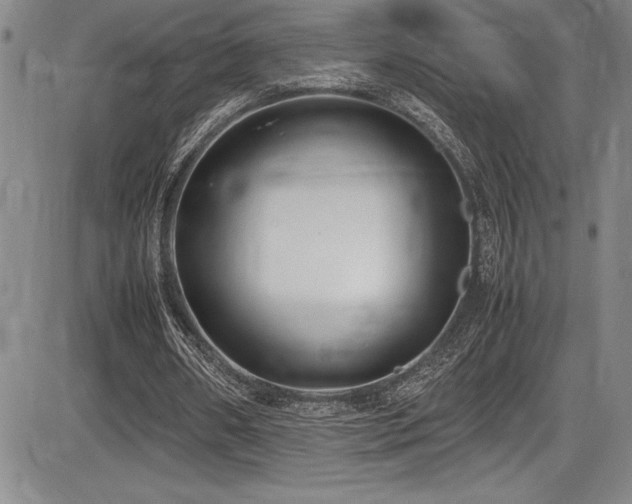 X0000086240482200703291359