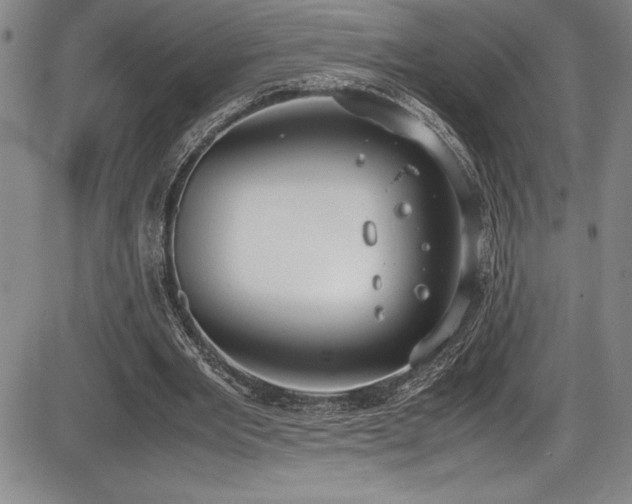 X0000086240485200703291359