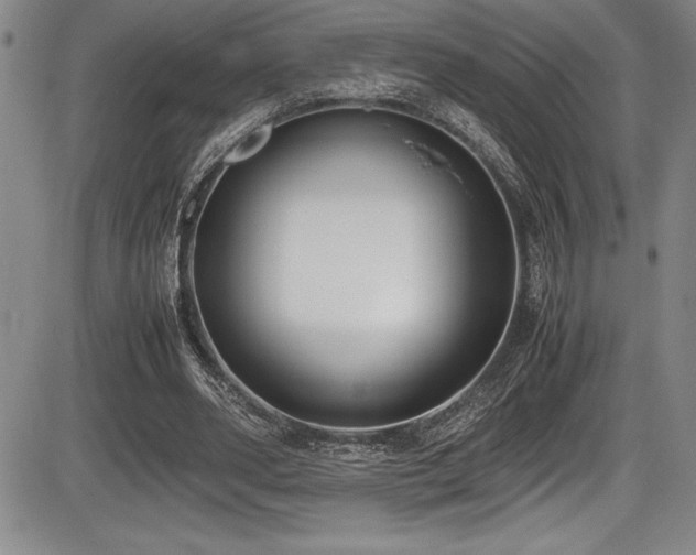 X0000086240486200703291359