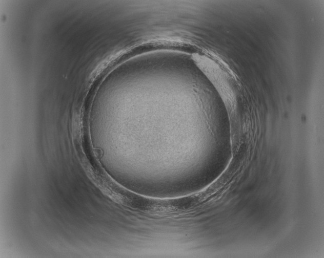 X0000086240487200703291359