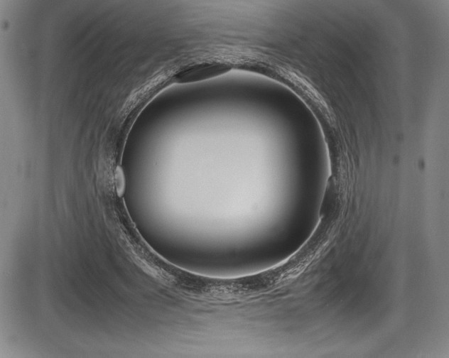 X0000086240489200703291359