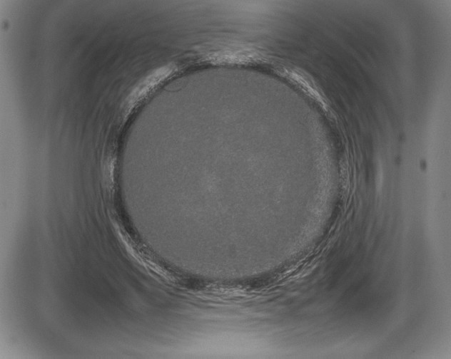 X0000086240491200703291359