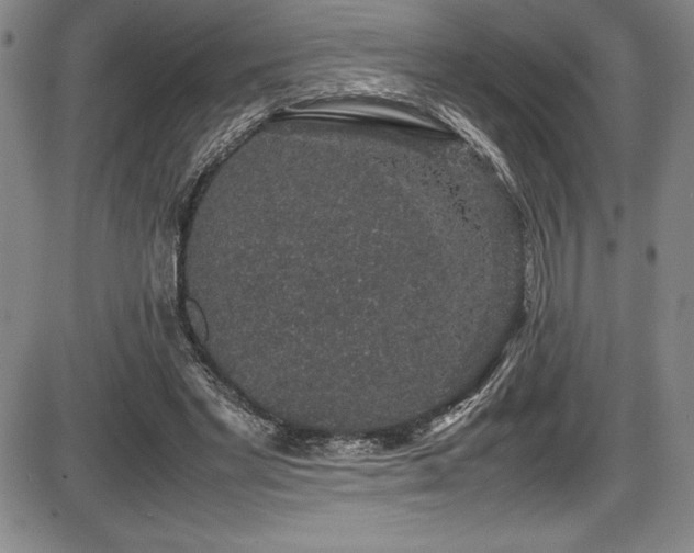 X0000086240493200703291359