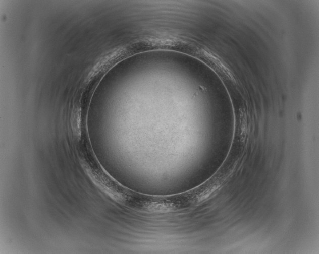 X0000086240494200703291359