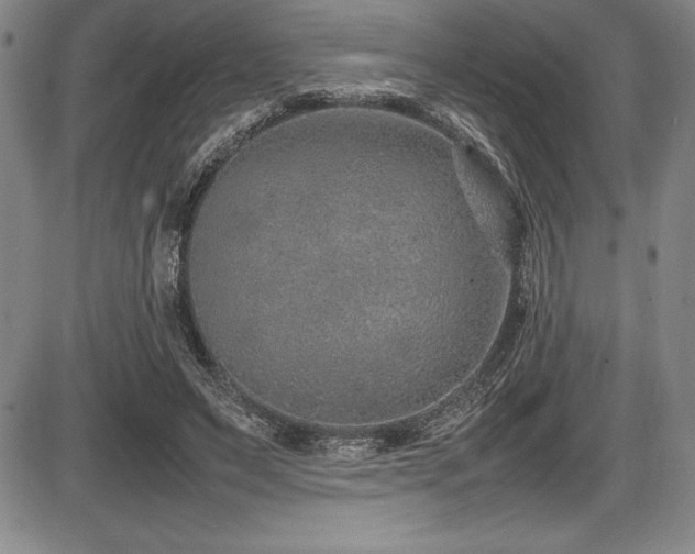 X0000086240495200703291359