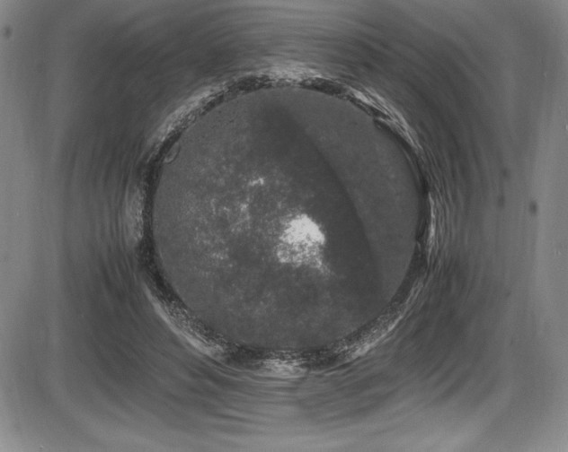 X0000086240496200703291359