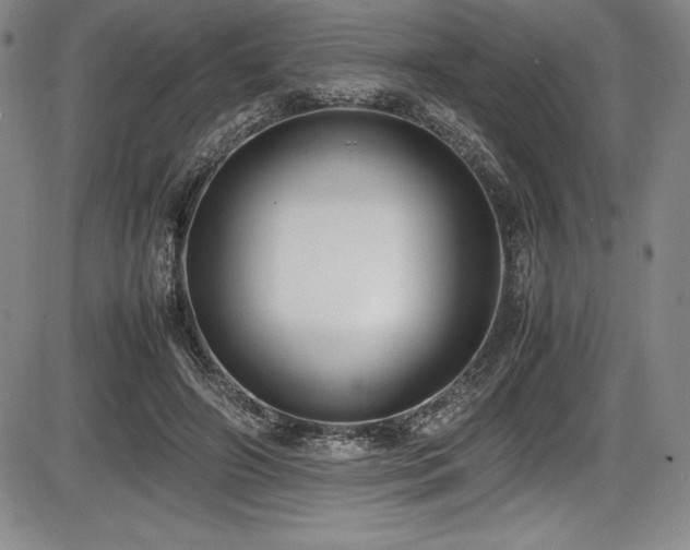 X0000086240498200703291359