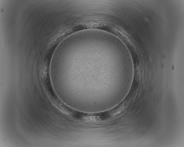 X0000086240499200703291359