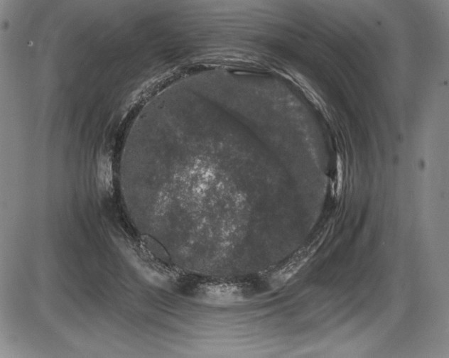 X0000086240500200703291359
