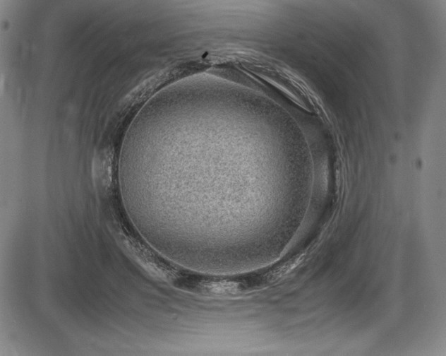 X0000086240501200703291359