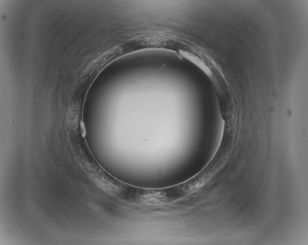 X0000086240505200703291359