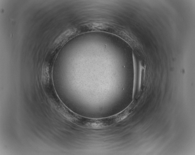 X0000086240506200703291359