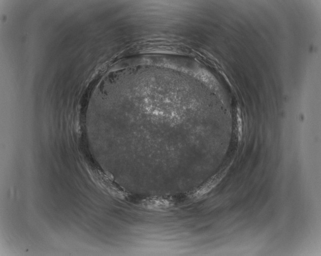 X0000086240512200703291358