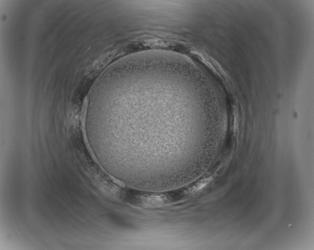 X0000086240513200703291358