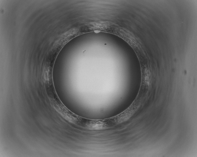 X0000086240514200703291358