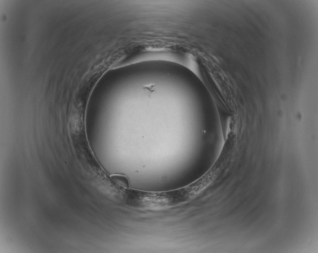 X0000086240515200703291358