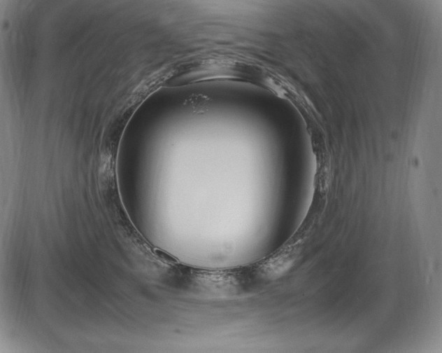 X0000086240521200703291358