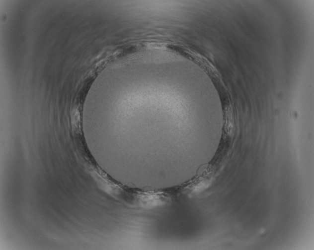 X0000086240523200703291358