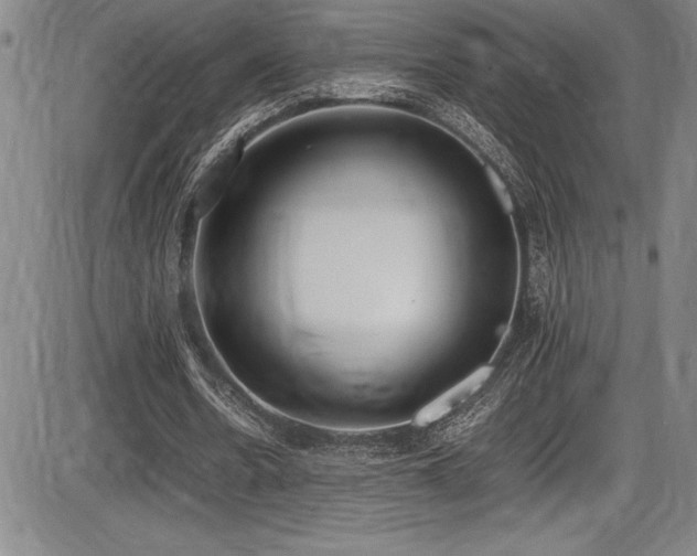 X0000086240530200703291357
