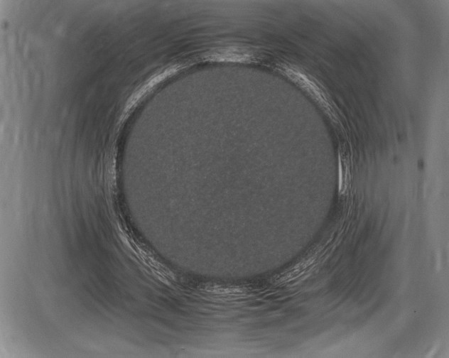 X0000086240531200703291357
