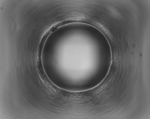 X0000086240532200703291357