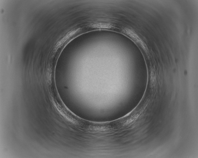 X0000086240533200703291357