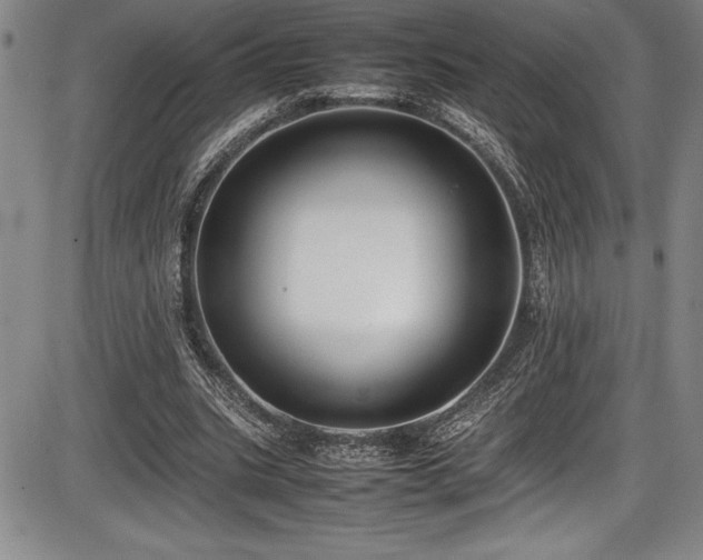 X0000086240535200703291357