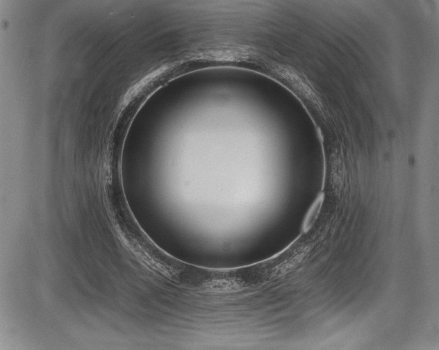 X0000086240536200703291357