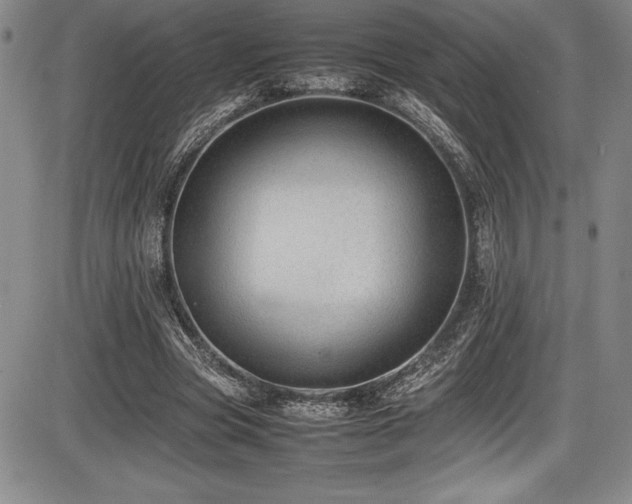 X0000086240537200703291357