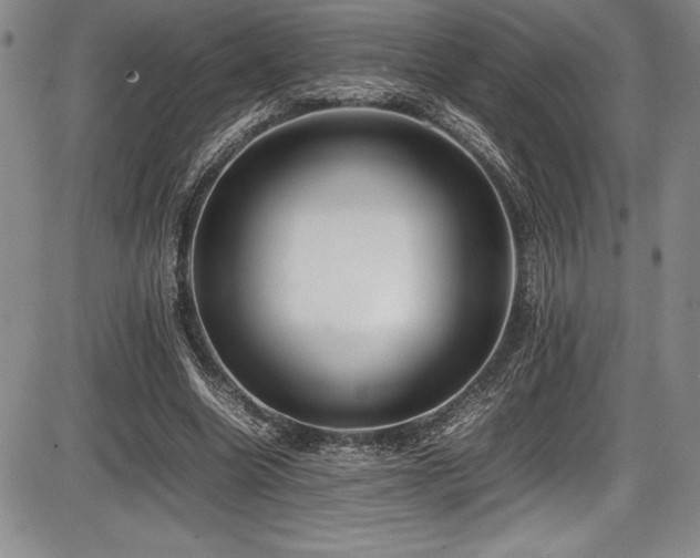X0000086240538200703291358