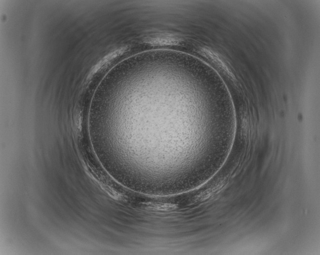 X0000086240539200703291358
