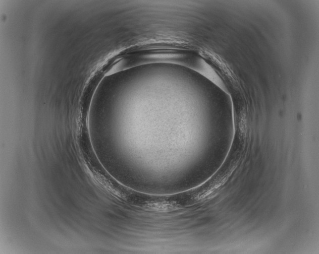 X0000086240540200703291358