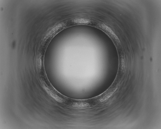 X0000086240541200703291358