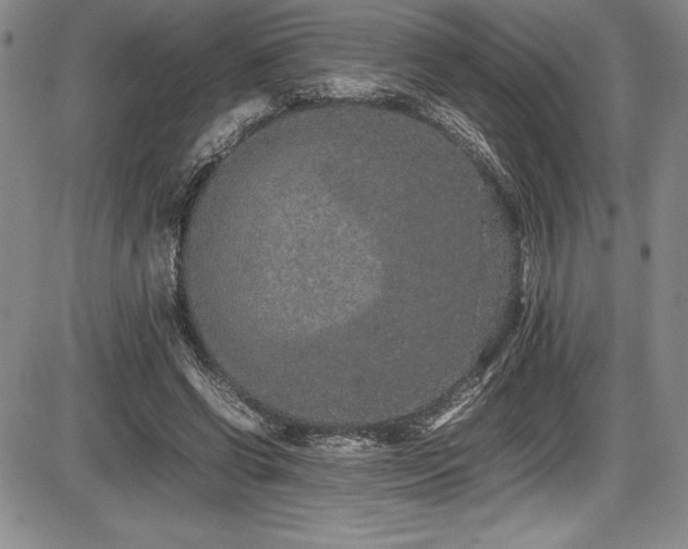 X0000086240542200703291358