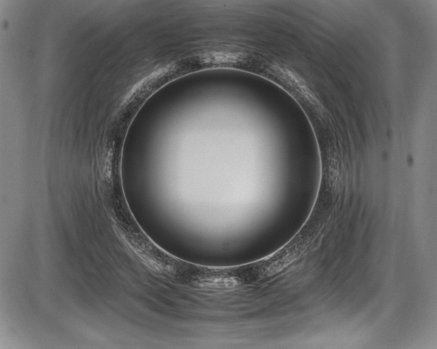 X0000086240543200703291358