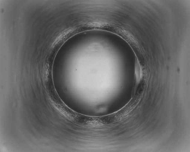 X0000086240544200703291358