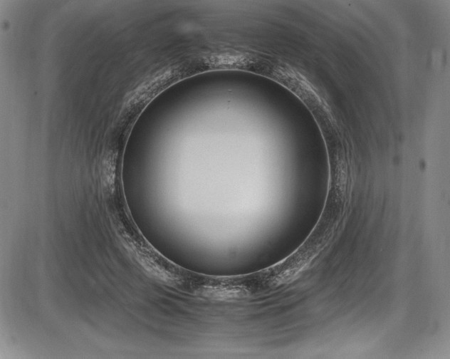 X0000086240545200703291358