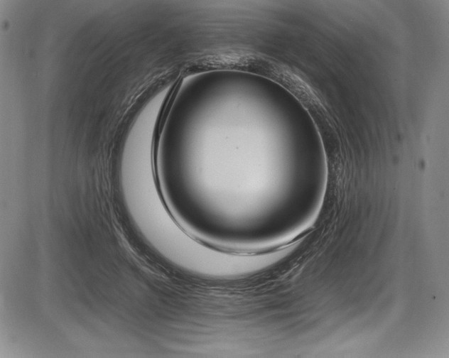 X0000086240546200703291358