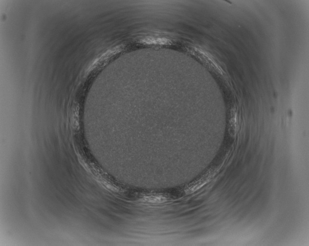 X0000086240547200703291358