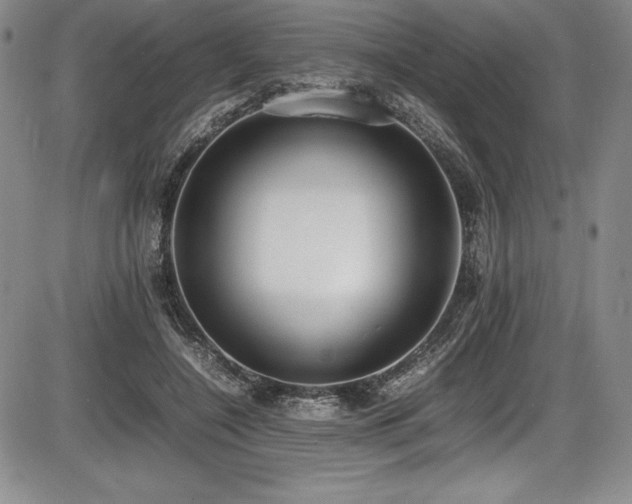 X0000086240548200703291358