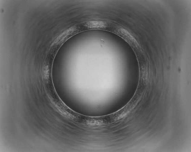 X0000086240549200703291358