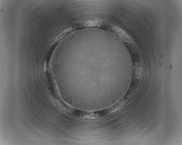 X0000086240550200703291358